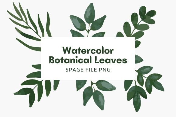 Botanical Watercolor Pack 18: A Designer’s Real-World Review for Branding and Visual Projects