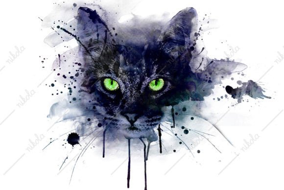 Cat Kitten Watercolor Sublimation PNG & Illustrations