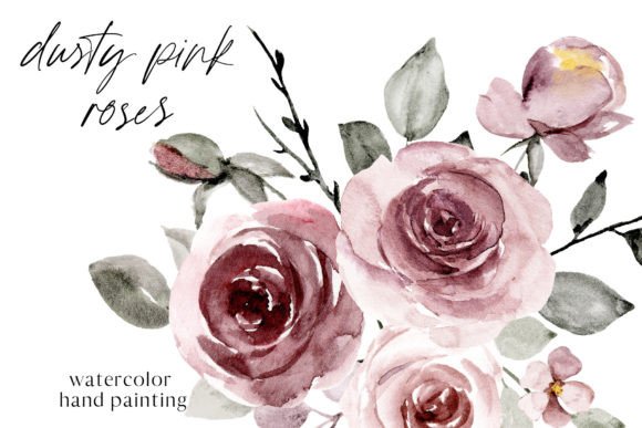Dusty Pink Roses, Watercolor Png Illustrations