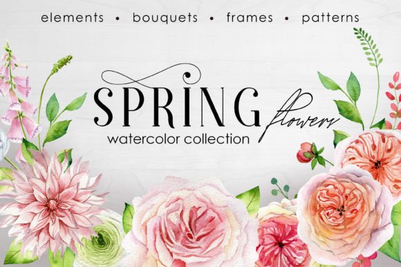 Elegant Watercolor Roses Illustrations for Local Business Branding
