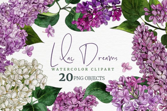 Lilac Dreams: A Watercolor Clipart Review