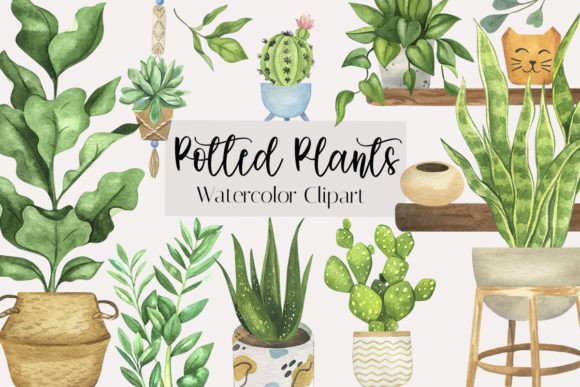 Potted Plants Watercolor Clipart: A Designer’s Honest Review for Real Embroidery Use