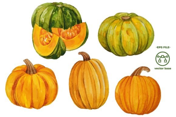 Pumpkin Watercolor Clip Art Hand Draw: A Practical Review for Etsy & Creative Sellers