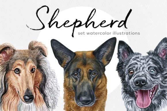 Shepherd Dogs. Watercolor Set 12 Dogs Br