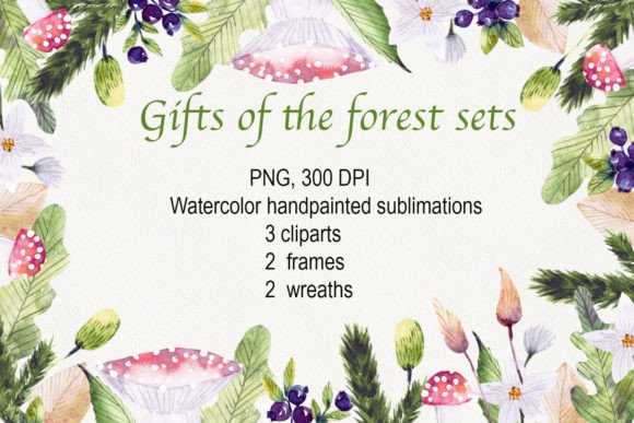 Watercolor Clipart Gift of the Forest: A Designer’s Review for Local Branding & Packaging