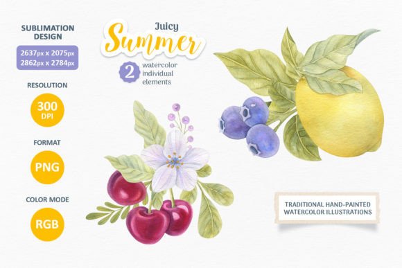 Watercolor Fruit & Berry Illustrations for Crafters & Handmade Sellers