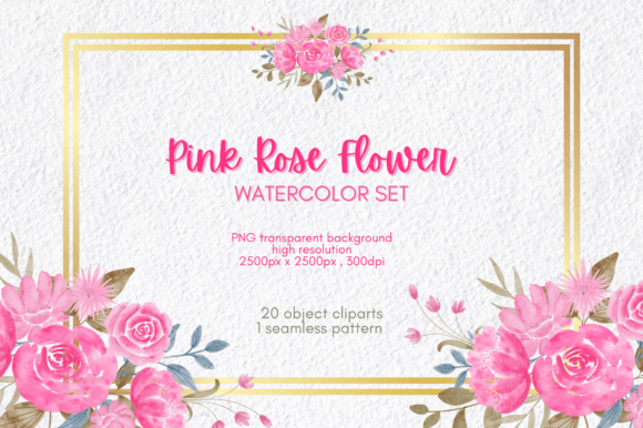 Watercolor Pink Rose Flower Illustrations Review