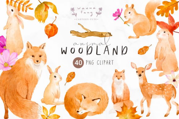 Watercolor Woodland Animal Illustrations for Bloggers & Publishers